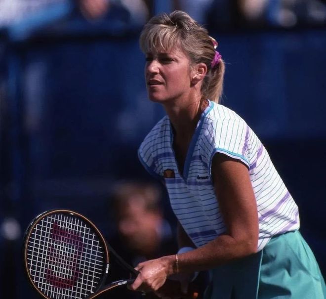 法国名将的 法国名将的