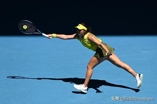 前终止权 前终止权